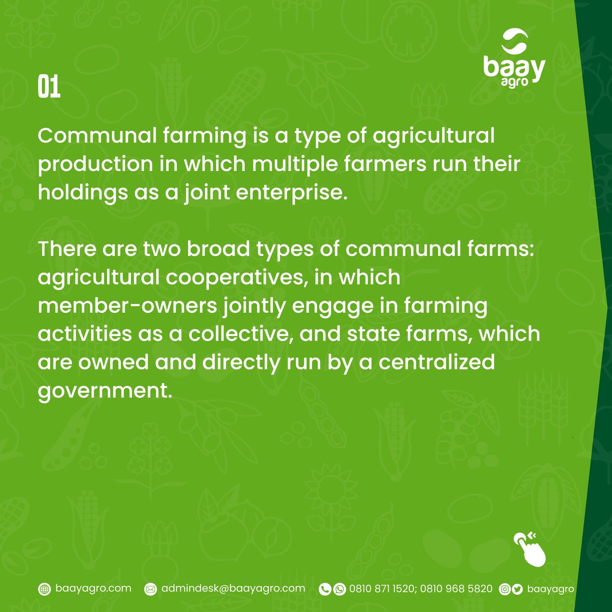 baayagro's tweet photo. At @baayagro, we allow for the smart integration of rural farmers into our community farming by Providing them with seedlings and tools needed for planting, as well ad agribusiness information and other farm needs.
#baayagro #agriculture #sustainableagriculture #communalfarming https://t.co/oF3Wyt5XOJ