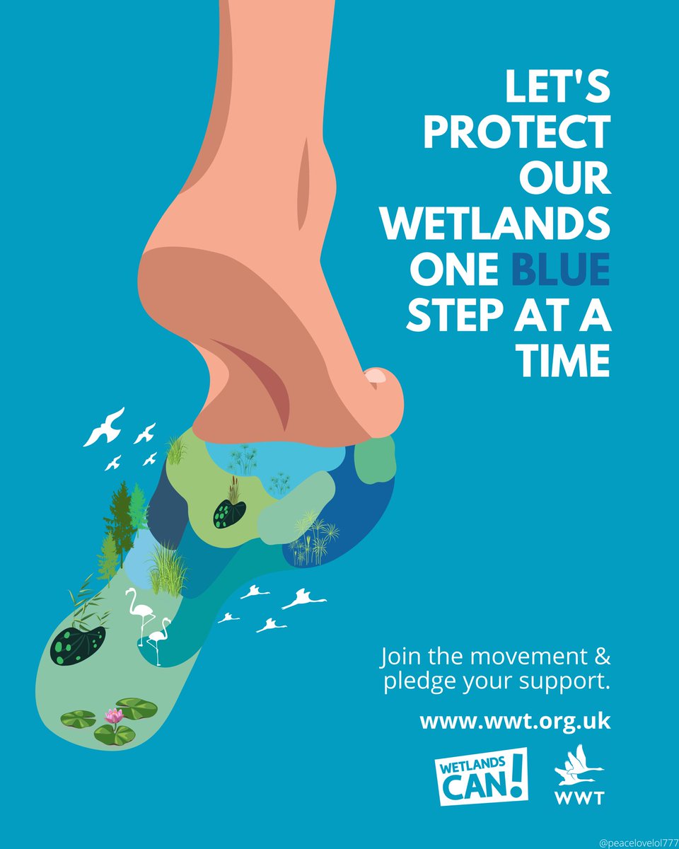 One Minute Brief of the Day: Create posters with @WWTworldwide to bring to life and pledge support for how urban wetlands help wildlife AND our well-being #WetlandsCan @OneMinuteBriefs