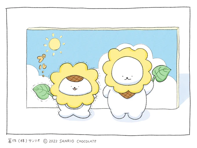 ひまわりです🌻 