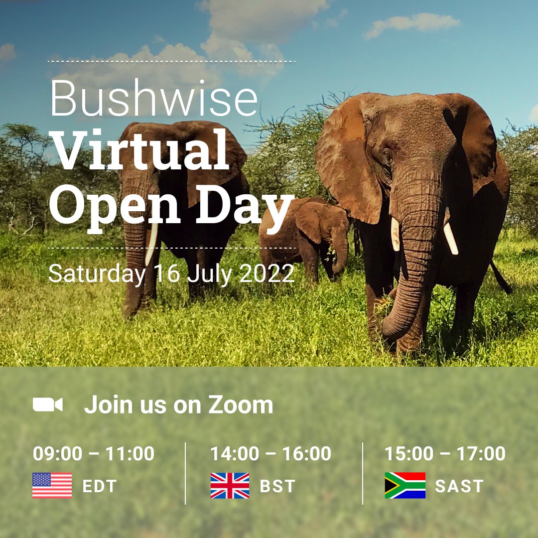 Bushwise Field Guides tweet media