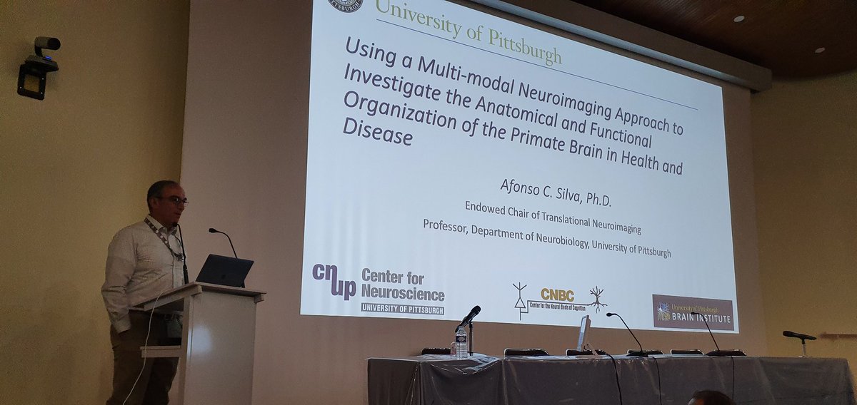 INT Marmobrain tweet media