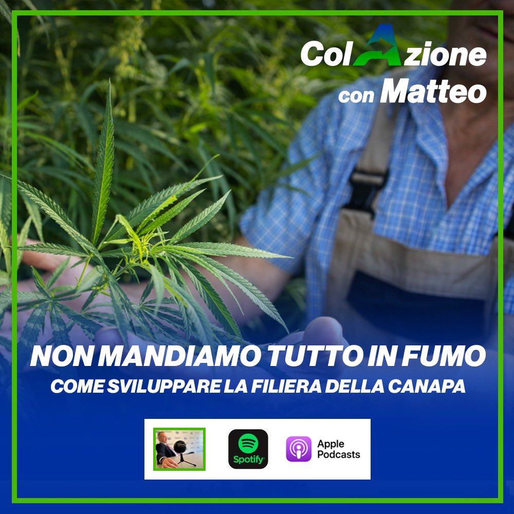 MatteoRichetti's tweet photo. Online una nuova puntata di #ColAzioneconMatteo. Un confronto con Williams Di Cesare, esperto e imprenditore del settore con il quale abbiamo approfondito opportunità, necessità di controllo e processi di legalizzazione legati all’utilizzo della #cannabis. https://t.co/NptbwNwP0y