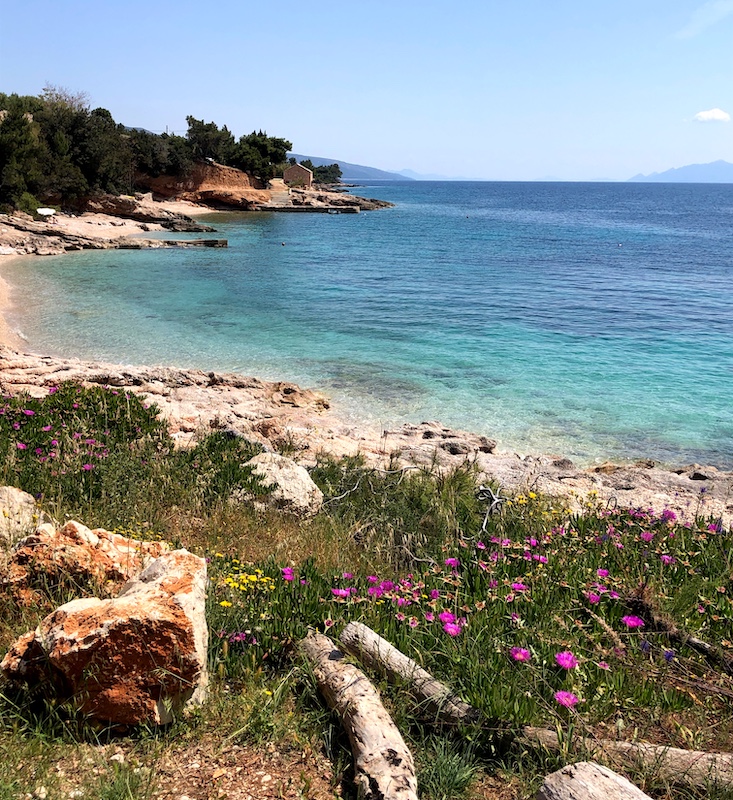 Deborah L. Jacobs tweet media