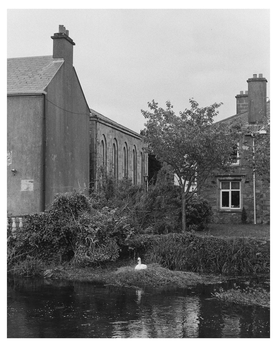 marcargentique's tweet photo. Loving the results I am getting from Kentmere 400 lately.

This series was shot in Galway on the Nikon FM2. #nikonfm2 #onfilm #kentmere400 #galway #filmphotography https://t.co/x5Oh9ojs1f