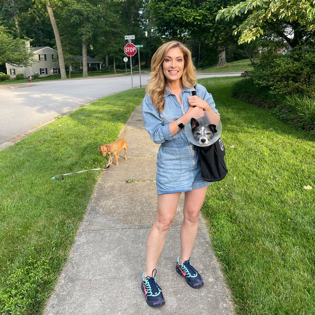 DebraAlfarone's tweet photo. How would you caption this? πΎ
#doginabag
#rescuedogs
#mytwoguys
#murraymemes
#summernight
#conehead
#dogstagram
#dachshundsofinstagram
#terriermix
#borderjack https://t.co/dnzVnL832D