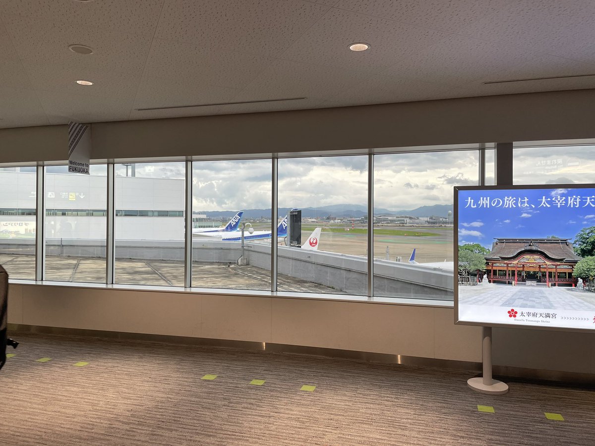 kokoro_n20's tweet photo. 半年ぶりの福岡✈️
#ビジフェス　全国行脚　福岡セミナーに参加します✨
地元なのに子連れじゃない違和感w

明日はどんな出会いがあるか楽しみです💕 https://t.co/b5FcMMthcR