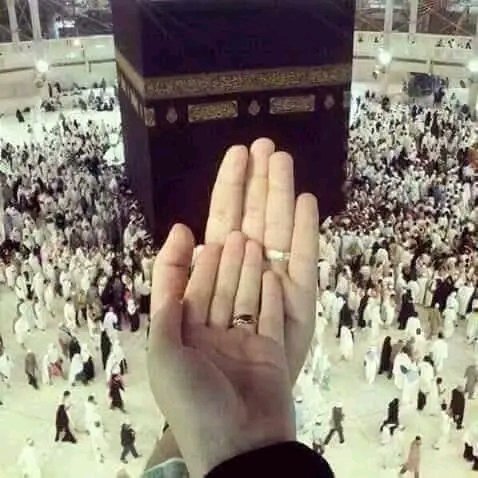 SoloDz17's tweet photo. هناك فرق شاسع بين زوج يريد زوجته تتزين له وبين شخص يريدها كبقرة بني اسرائيل فاقع لونها تسر الناظرين https://t.co/7VdrPuxaKT