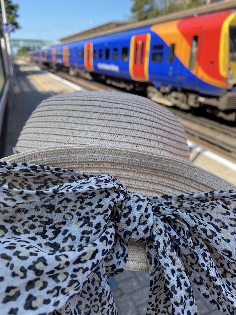 SuzanneFGill's tweet photo. Glorious weather for #prd2022! The hat and I are on our way to Ascot - see you soon @propertyraceday https://t.co/VZmpYDQJt4
