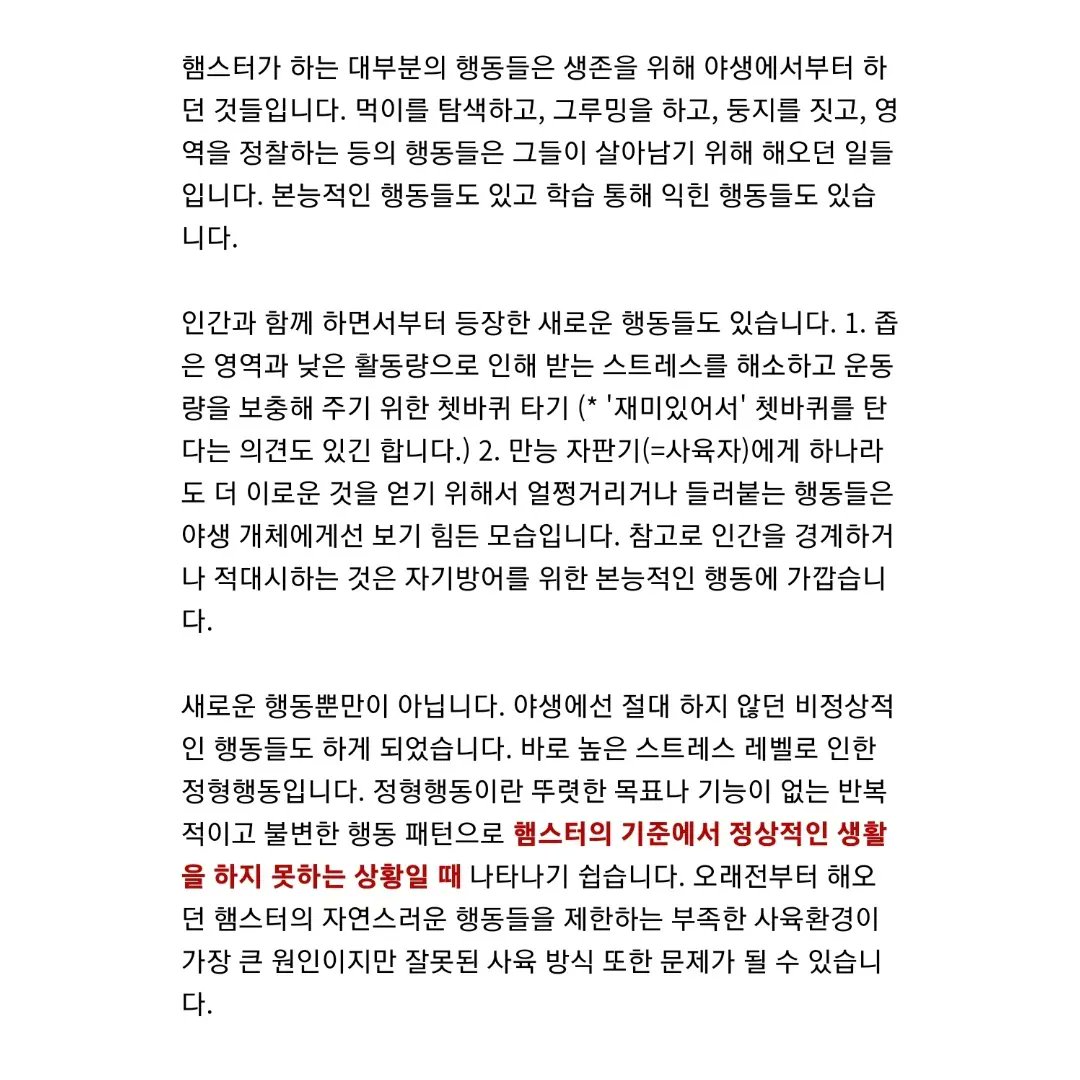 hamster_info_kr's tweet photo. 햄스터가 하는 몇 가지 비정상적인 행동들 : 햄스터와 정형행동 https://t.co/geeHKN0tY7