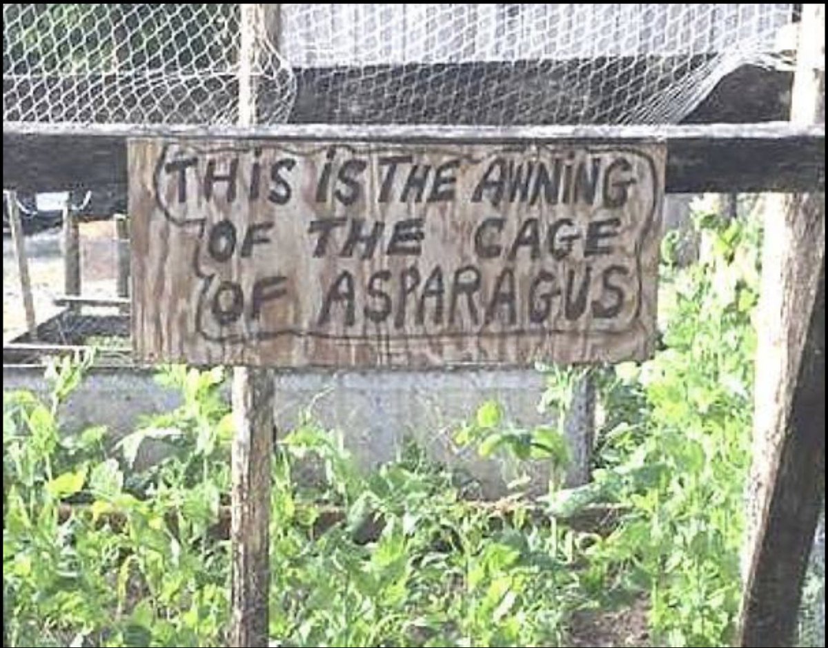 khargaoasis's tweet photo. People of a certain age will get this! https://t.co/hw0xu129TC