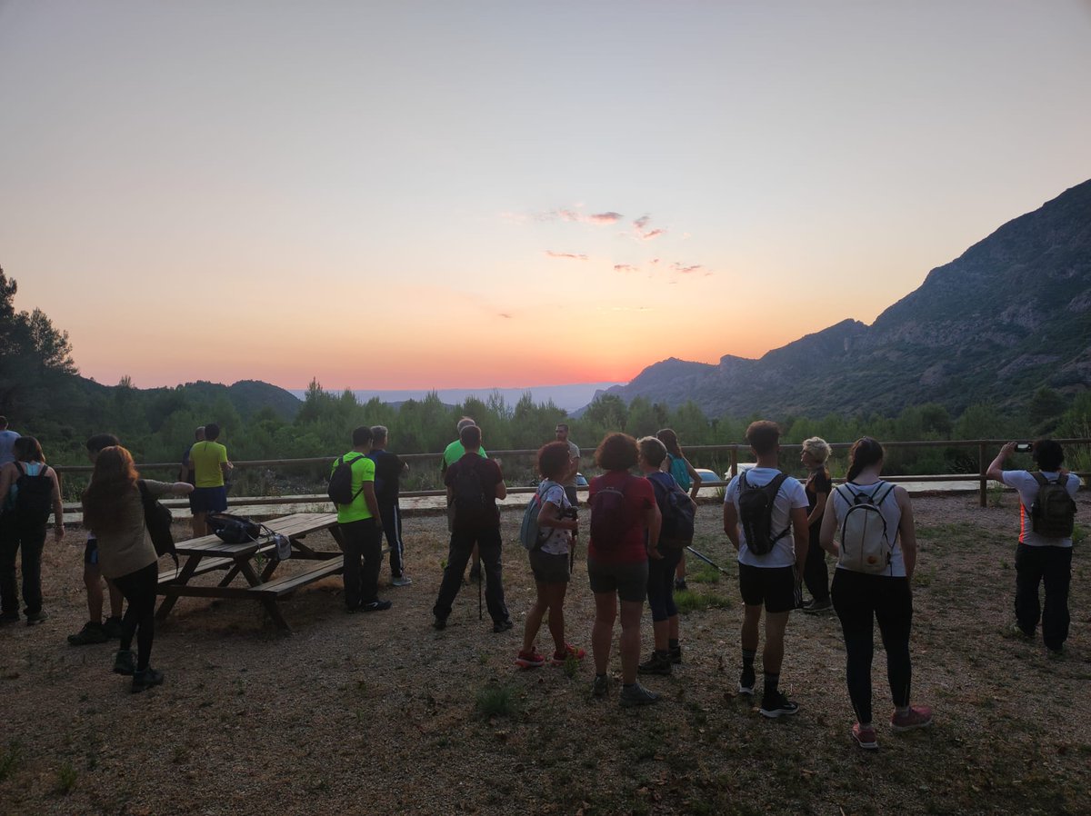 Ajuntament Alzira tweet media