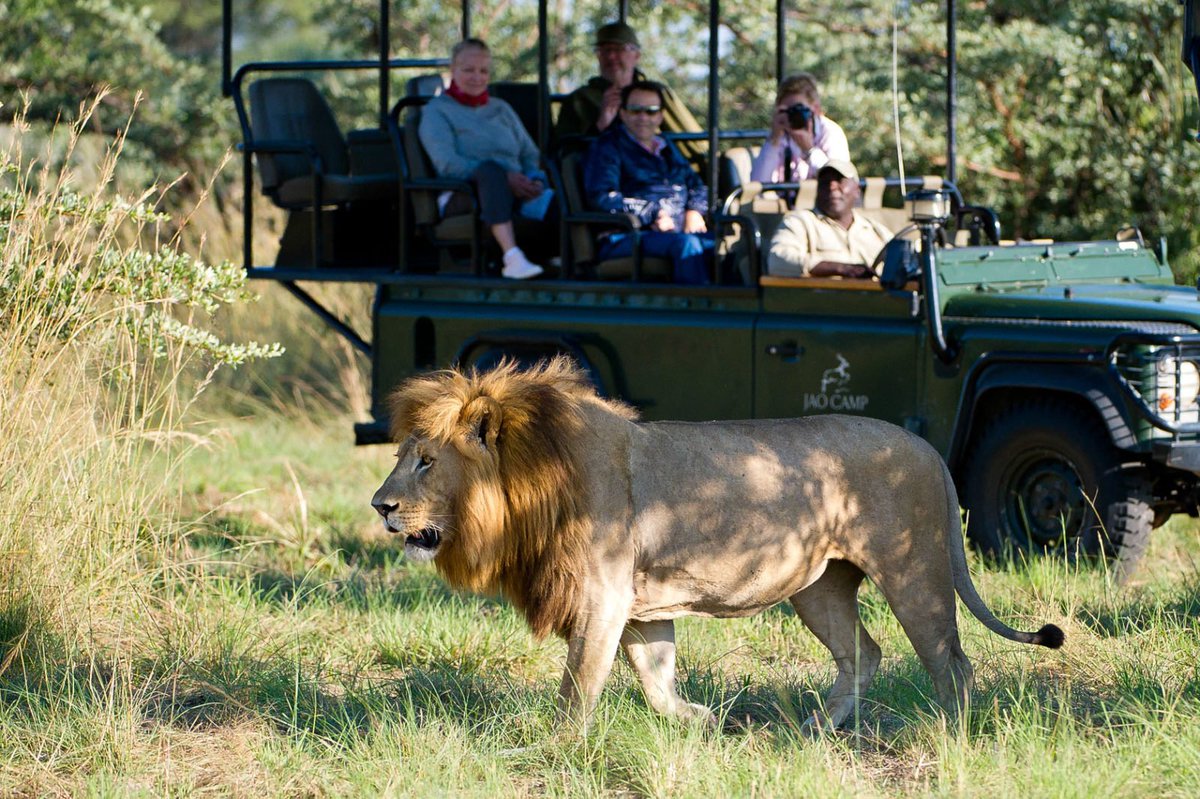 MuthaigaTravel's tweet photo. Situated on a private island in the heart of the Okavango Delta, Jao Camp offers an unbeatable luxury African safari experience within one of Mother Nature's true masterpieces.
#jaocamp #okavangodelta #botswana #wildlife #natgeo #safari https://t.co/BK5vYqeEEk