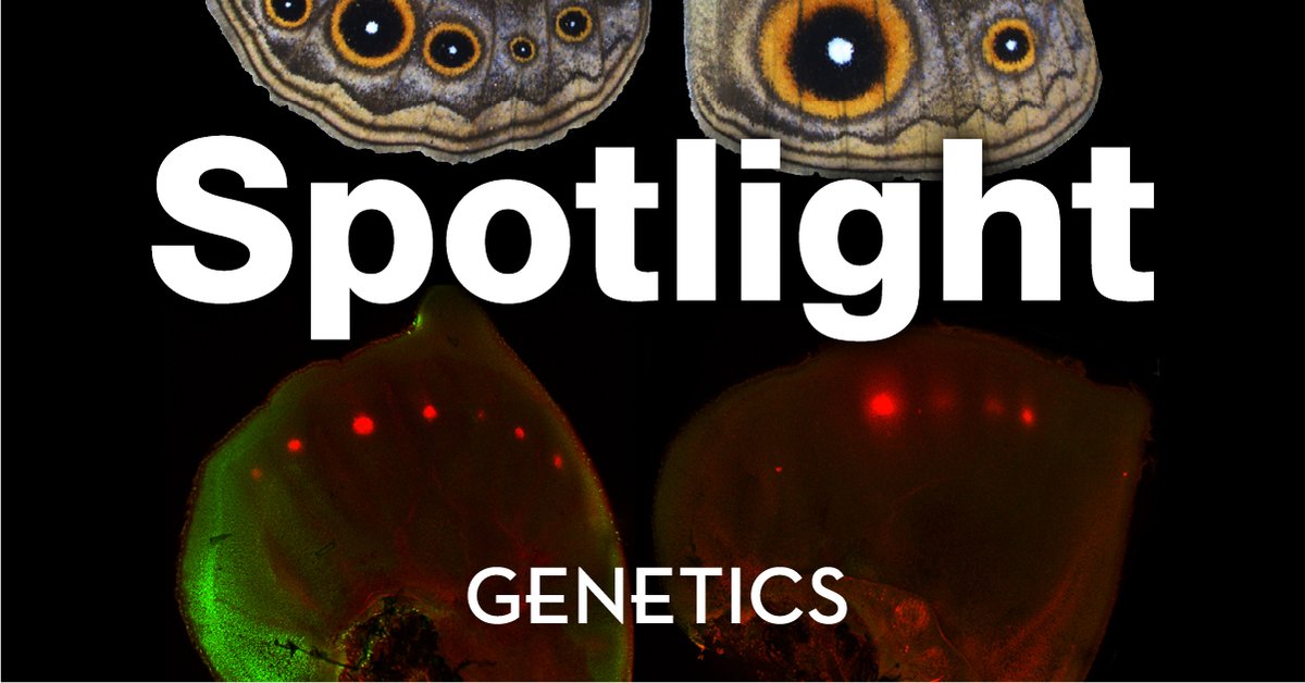 OxfordJournals's tweet photo. Discover noteworthy examples of genetics and genomics investigations published in 2021 in @GeneticsGSA latest Spotlight collection. The collection spans topical interests, emerging and classic model organisms and much more. Explore today. https://t.co/BfSerUEHfA https://t.co/qoc8mkk4KY