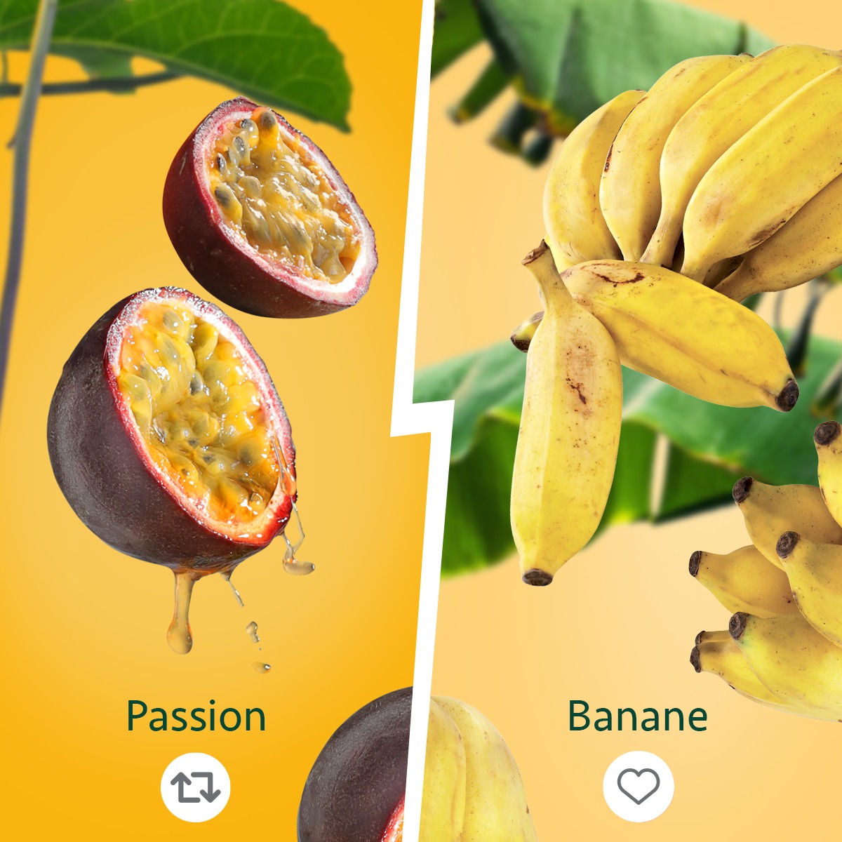 COLIPAYS tweet media