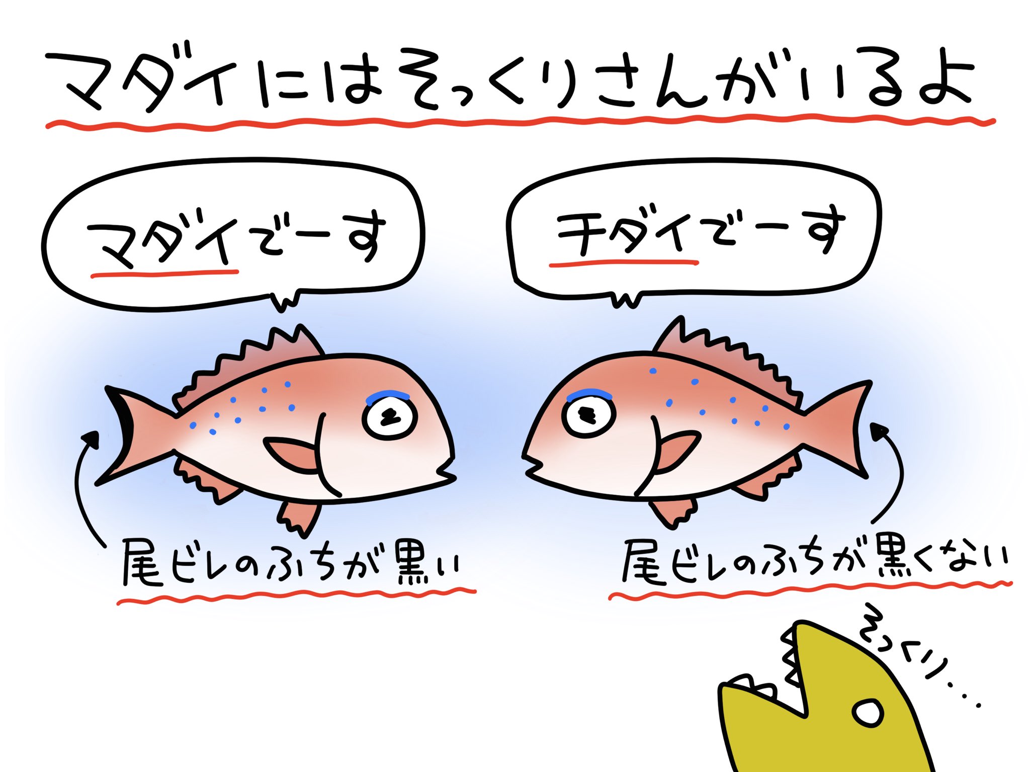 ふくちゃん 魚のイラスト Yawatano Twitter