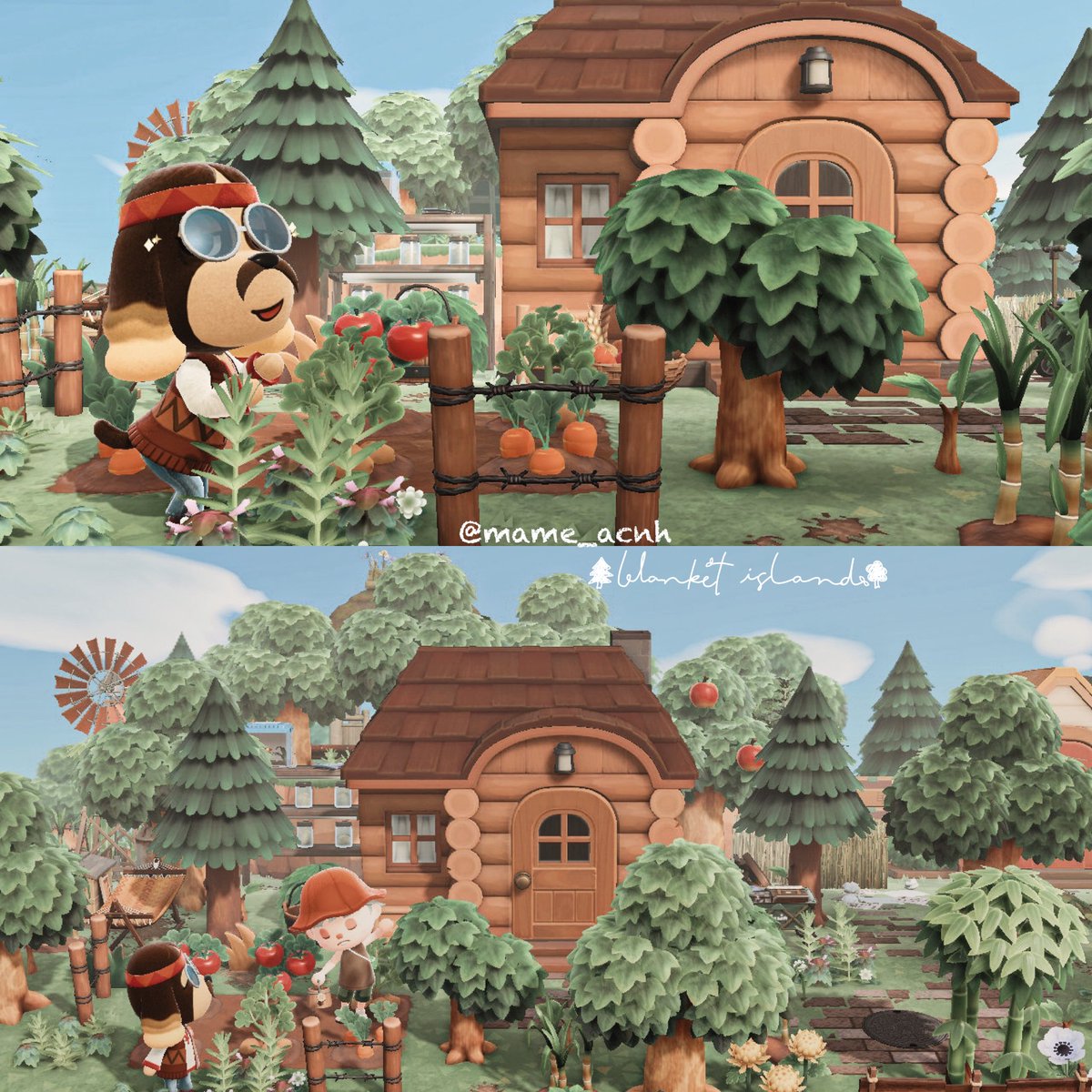 mame__ac's tweet photo. おおきくなぁれ🍅

#あつまれどうぶつの森
#AnimalCrossing
#acnh  #あつ森写真部 https://t.co/nXKzOFaeln