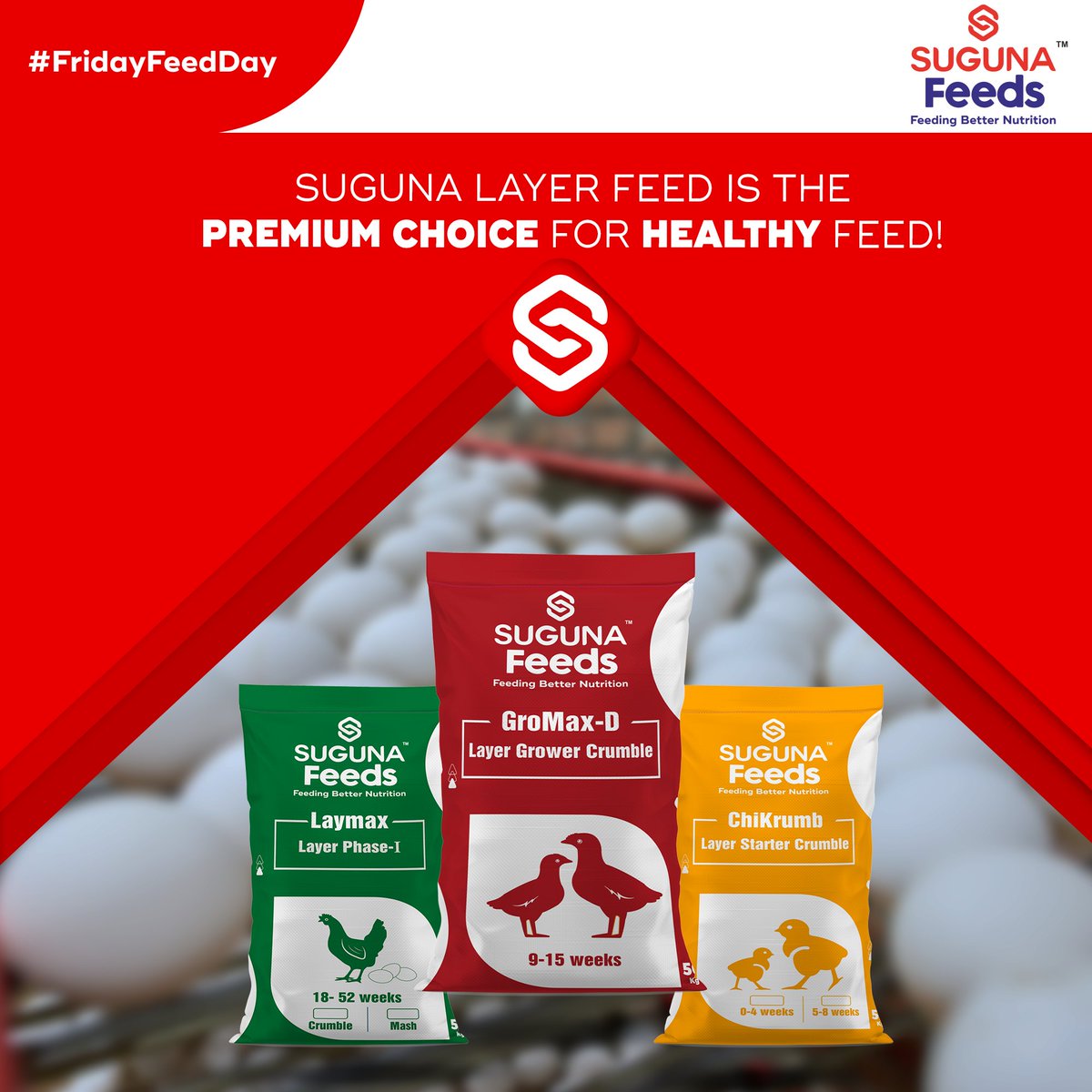 Suguna_Foods's tweet photo. Get your Layer chicken the best feed possible.
Try Suguna Layer Feeds for all kind of Layer Feed requirements.
#SugunaFoods #SugunaChicken #LayerChicken #SugunaFeeds #PoultryFarming #layerfeeds #layerfarming https://t.co/fGcRUp3Co0