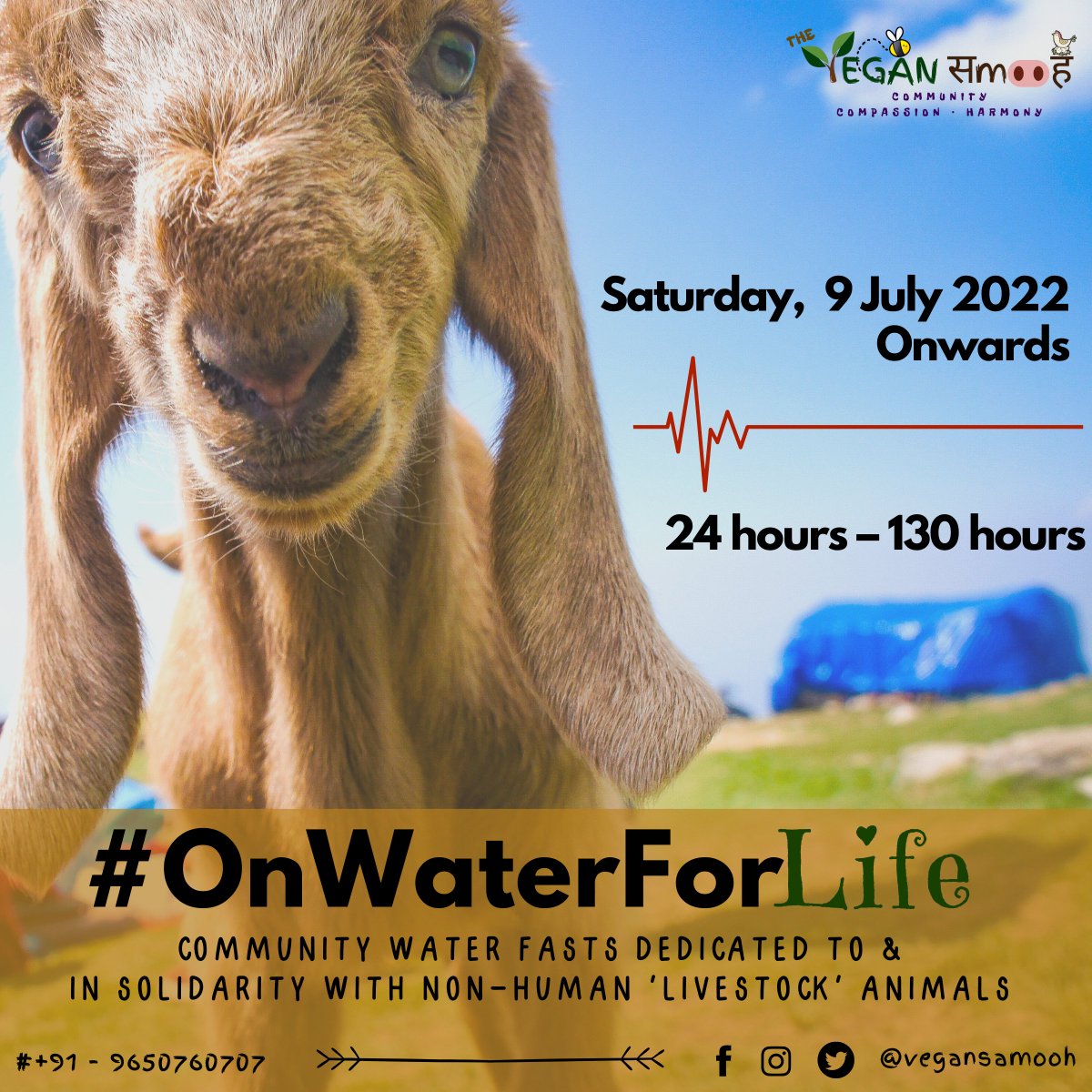 vegansamooh's tweet photo. Be #OnWaterForLife with us, this #Bakreid, 10 July, in solidarity with the 30 mn+ (3 crore+) 'livestock' animals slaughtered on just one day – #EidAlAdha &amp; 100 bn (10k crore)+ slaughtered every year for taste, clothes &amp; unnecessary whims.
#BanAnimalSacrifice https://t.co/JUp7t5O4Pp