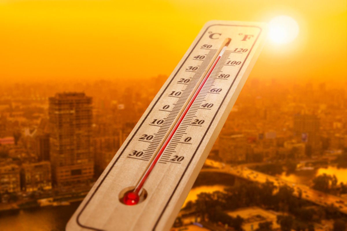 #HEAT newsletter:
🌡️ Who is most at risk &amp; how to protect them
🥵 #HeatActionDay raises awareness of risks
☀️Expert interview on heatwaves 
🌍 CHANCE-conference 
📰 Latest research on heat-related child mortality, heat-related mortality in 🏴󠁧󠁢󠁥󠁮󠁧󠁿&amp;🏴󠁧󠁢󠁷󠁬󠁳󠁿 + more
➡️enbel-project.eu/newsletter