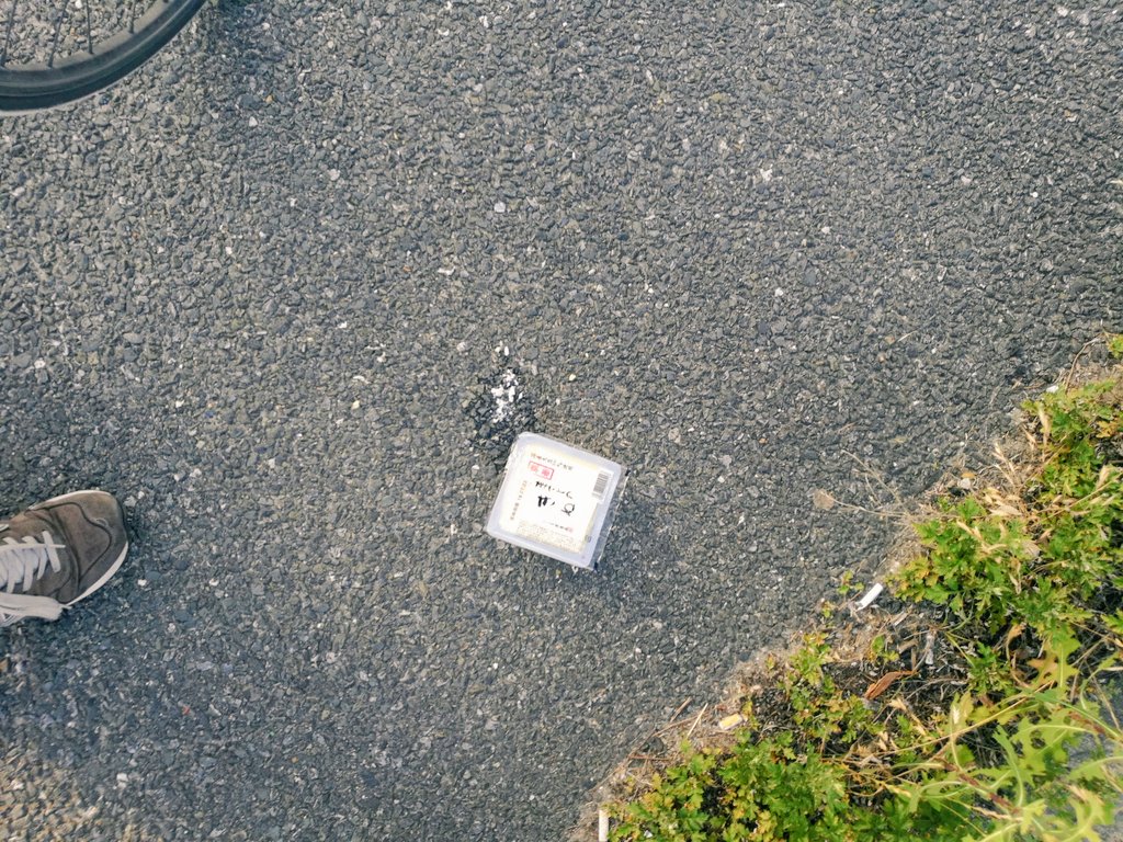 気持ちが辛いので道路に落ちてた食材で鍋を完成させませんか 順調に食材が集まるが闇鍋の予感 Togetter