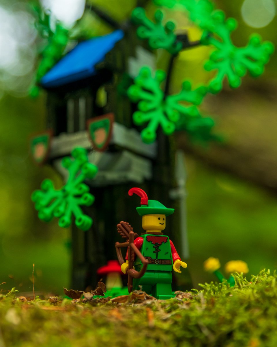 miszaszym1's tweet photo. Robin Hood
@LEGO_Group #lego #foresthideout #legoclassic #Robinhood https://t.co/qmdEQd1nEe