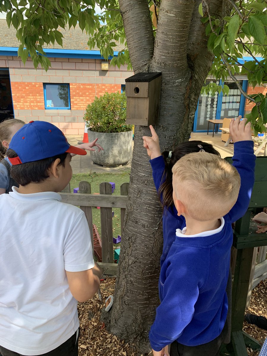 DeltaCravenKC's tweet photo. We have been discussing habitats and the importance of looking after them! We have enjoyed learning about our important person @ChrisGPackham. We have checked on our school habitats and provided the birds with food and shelter! @DeltaCraven 🐦 🏡  🐜 🐞 https://t.co/ttS2YGIacQ