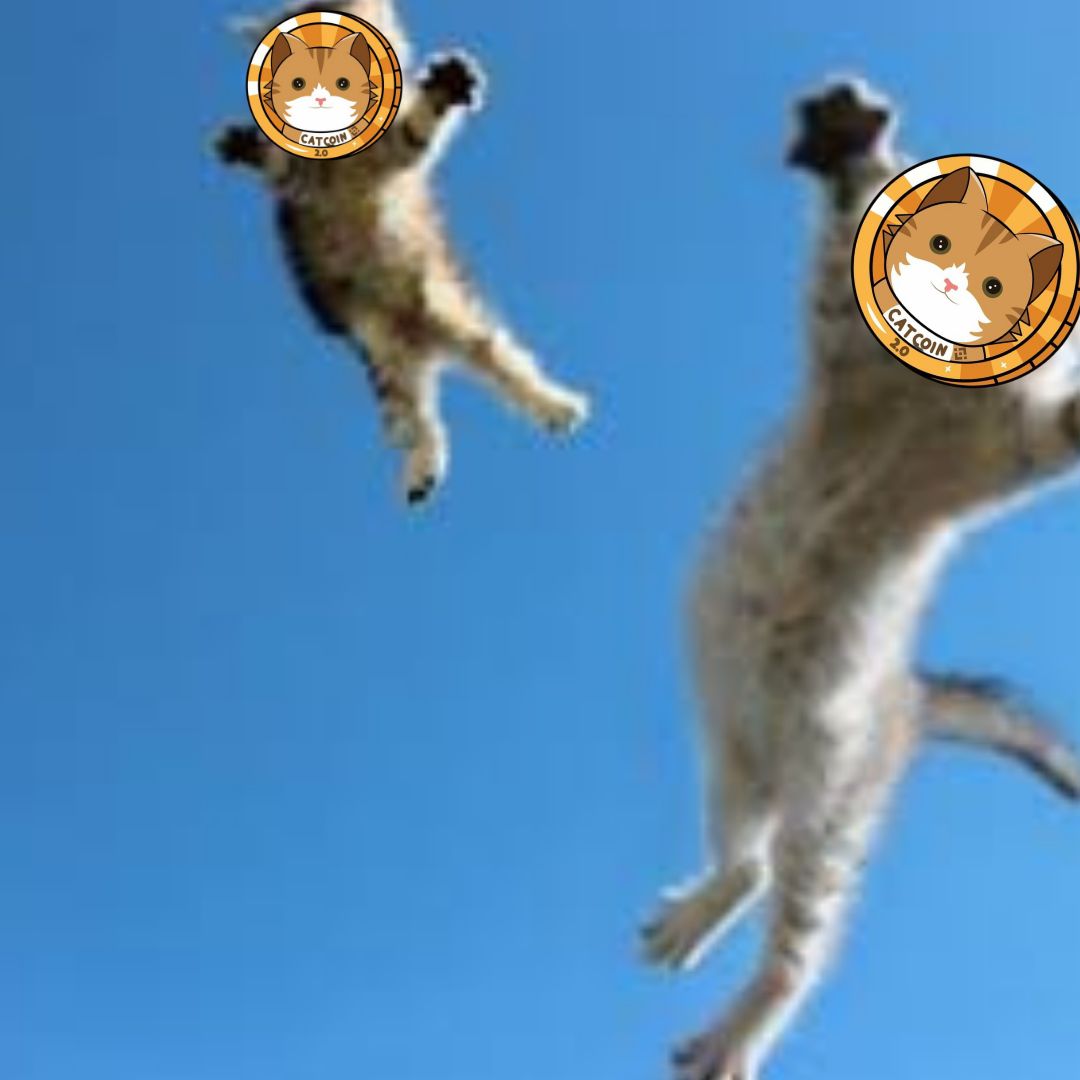 deva_forever1's tweet photo. Fly me to the moon and let me play among the stars πΆ
Join our strong community on tg:
https://t.co/ApyBVxAFYA
#CatCoinTwo #CatTwoArmy #CATS2 #BSC #1000X https://t.co/tt4o6YETrj