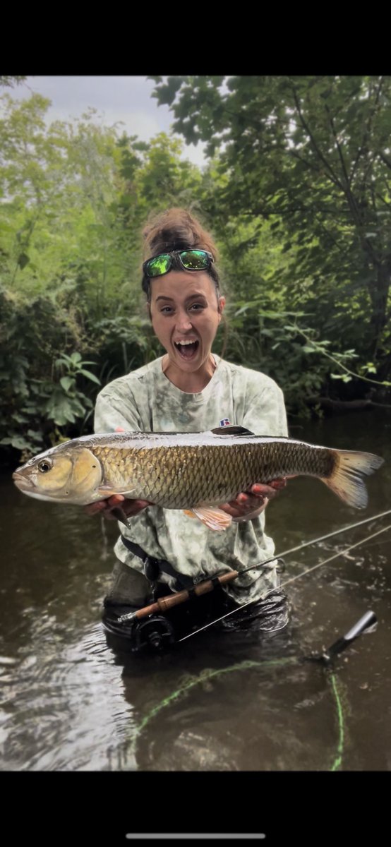 My favourite to catch on the fly 
.
.
 #trout #flytying #flytyinguk #flytyingjunkie #flyfishinglife #chubfishing #coarsefishing #coarsefishinguk #flyfishing #flyfishinguk #femaleangler #womenwhoflyfish #fishingwoman #lesbian #lgbt  #carpfishing #chubfishing #chubflyfishing