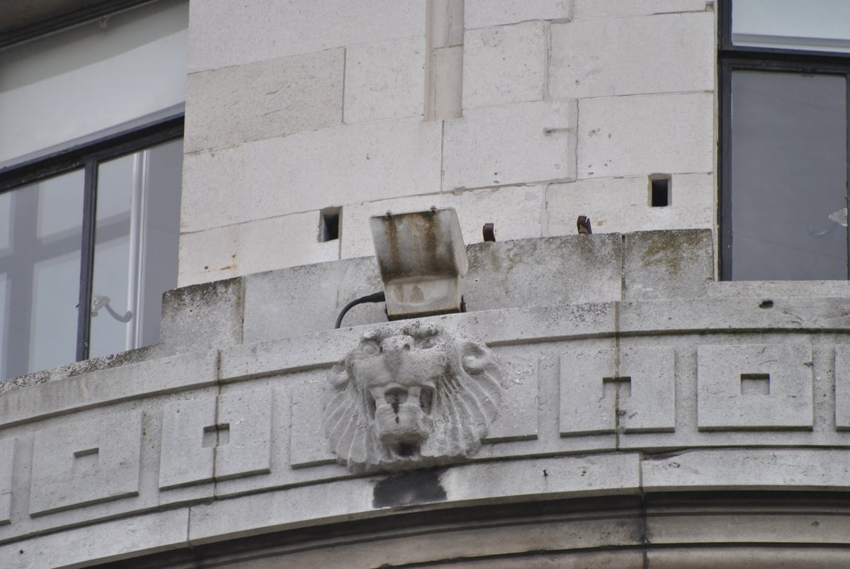 TyneSnapper's tweet photo. @seandrobson Carliol House Lion - Portland Stone 👍 https://t.co/vS895YXrRZ