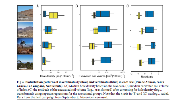 EarthShape (@earth_shape) on Twitter photo #Vegetation and #vertebrate abundance as drivers of #bioturbation patterns along a #climate gradient - new discoveries by @Diana58676130 et al. can be accessed here in the new <a href="/earth_shape/">EarthShape</a> publication: doi.org/10.1371/journa… #Vegetation and #vertebrate abundance as drivers of #bioturbation patterns along a #climate gradient - new discoveries by @Diana58676130 et al. can be accessed here in the new <a href="/earth_shape/">EarthShape</a> publication: doi.org/10.1371/journa…
