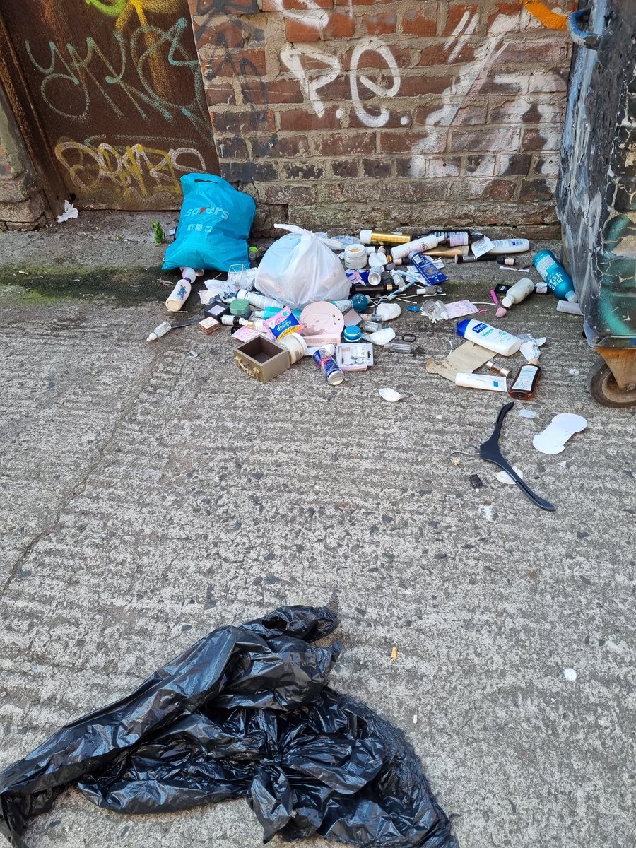 helencrickard's tweet image. Wasted 10mins contacting @belfastcc about bins before i got cut off. The seagulls &amp;amp; crows took the rubbish out, now the rats are having a feed. This is just off botanic avenue! Constant battle with waste as there are insufficient bins for all residents! #bccFail