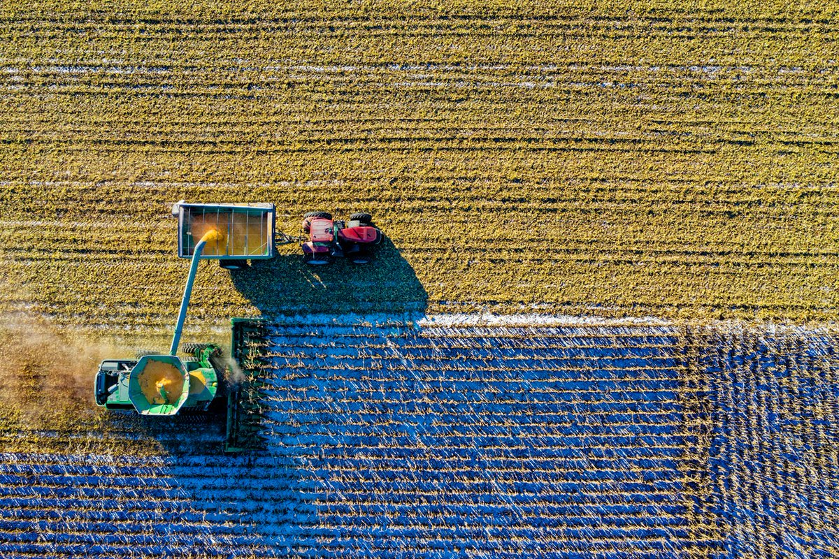 Emprender en el medio rural se ha vuelto más complicado 😔🚜🌿 Esta es una de las conclusiones de un estudio liderado por la #UMH, donde se ha analizado la evolución de la actividad emprendedora en el medio rural en España en los últimos años 👉 bit.ly/3c470uE