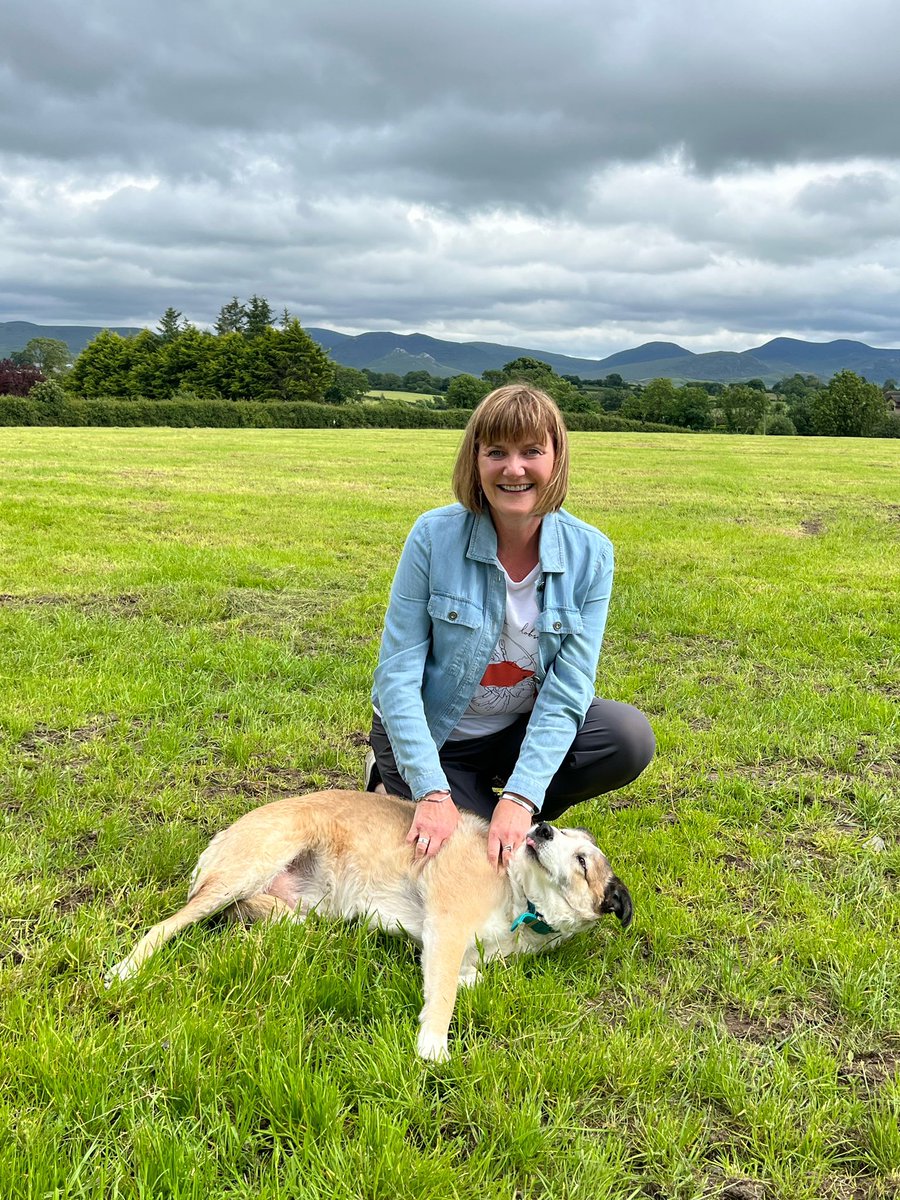 🍴Eating Ideas🍴 tweet media