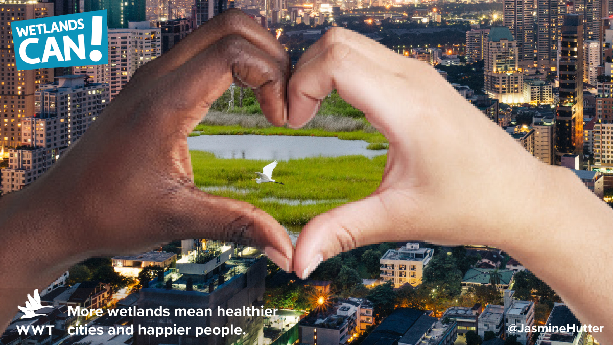 JasmineHutter's tweet photo. @OneMinuteBriefs Create posters with 
@WWTworldwide to bring to life and pledge support for how urban wetlands help wildlife AND our well-being #WetlandsCan https://t.co/oKhvm3K0Eq