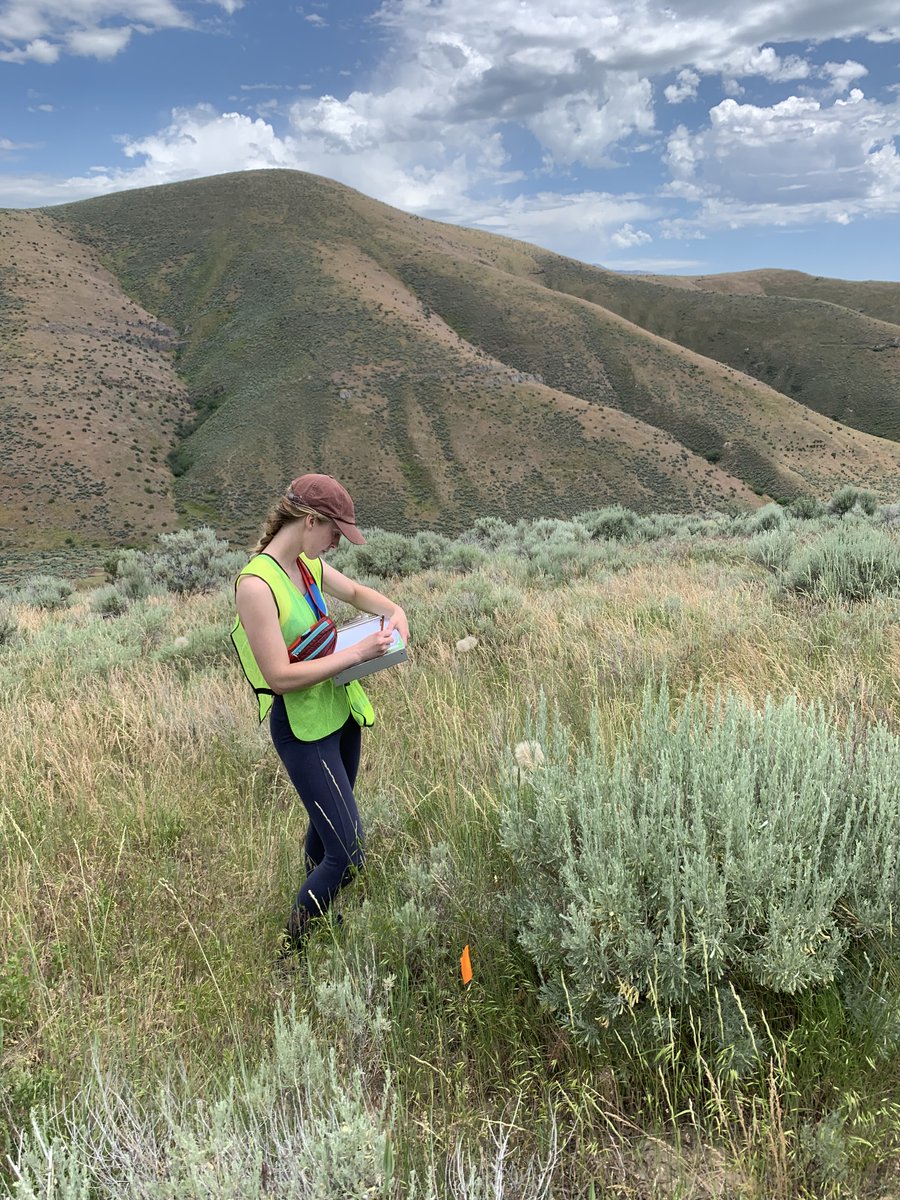 Summer research is underway <a href="/UVUBiology/">Utah Valley University Biology Department</a> - <a href="/NSF/">U.S. National Science Foundation</a> S-STEM student <a href="/ChloeLoveland/">Chloe Loveland</a> is working with Dr. Jessica Cusick <a href="/JessicaCusick1/">Dr. Jessica A. Cusick, PhD</a> (<a href="/UVU/">UVU</a>) and collaborator Dr. Joshua Grinath <a href="/ecologyJBG/">Joshua B Grinath</a> (<a href="/IdahoStateU/">Idaho State University</a>) on her independent research project!