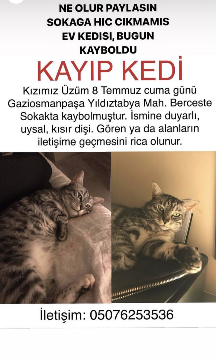 sezbeyz's tweet photo. https://t.co/tXBn0BSdbu