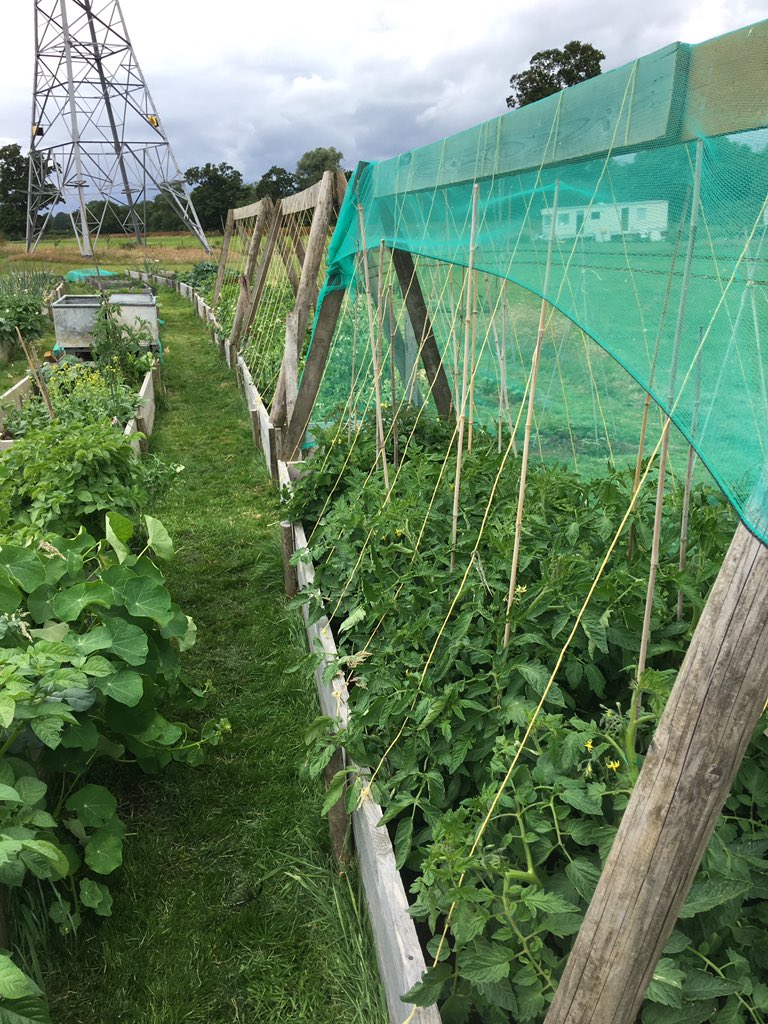itsjillgardner's tweet photo. They tell you that money doesnβt grow on trees. Well as far as true wealth goes, it really, really does!! #realfood #organic #beigefree https://t.co/0eOAN6WiYg