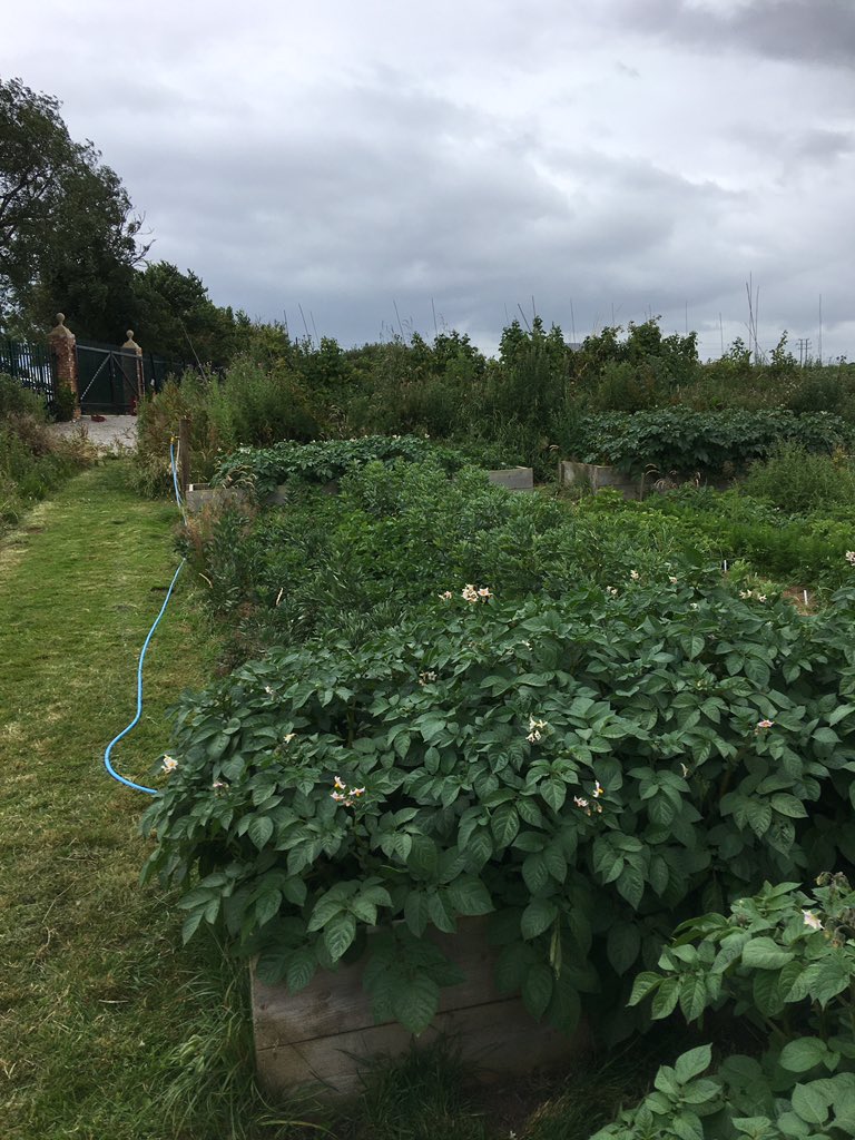 itsjillgardner's tweet photo. They tell you that money doesnβt grow on trees. Well as far as true wealth goes, it really, really does!! #realfood #organic #beigefree https://t.co/0eOAN6WiYg