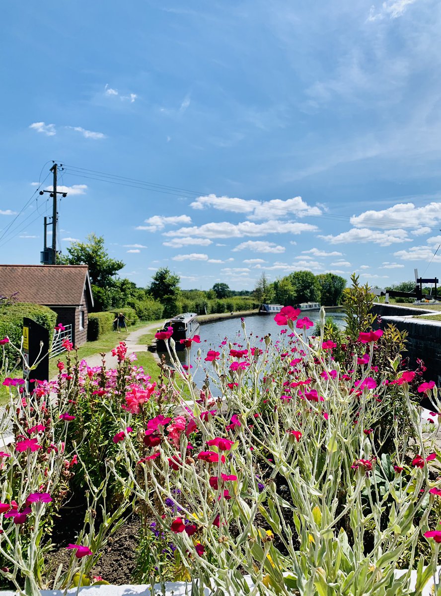 Knowle locks are looking rather splendid in the sunshine 🌞 

We love the new planting by @LockCrt 

@VisitKnowle @CanalRiverTrust #knowle #visitknowle #visitsolihull