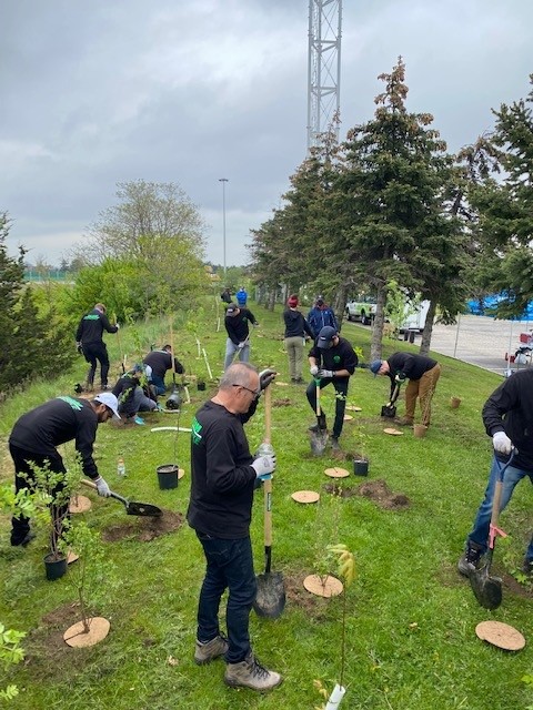TreeCanada's tweet photo. Thank you @PenskeMoving for supporting an #urbanplanting project at Iceland Arena and Sports Park in @citymississauga! These 142 new native trees/shrubs will help create a woodland in an urban area and provide habitat for wildlife! https://t.co/PYkXUJWvHv
