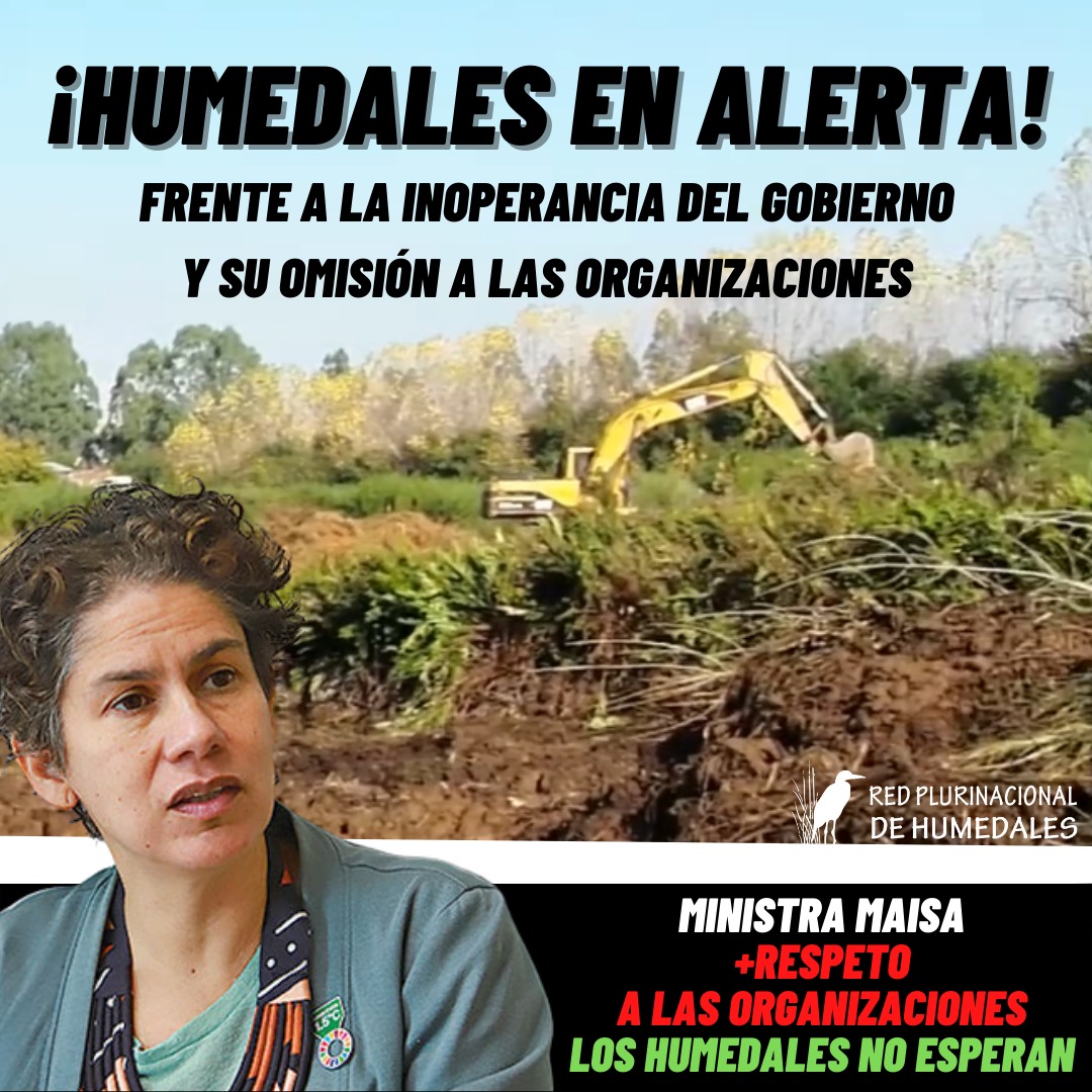 Visitó Maullín respetamos que era su 1er viaje a los Lagos se nos prometió reunión en 2da visita. Fue a Chiloé se programó reunión con asesores que NO terminaron la reunión por cambio de vuelo, ni siquiera alcanzamos a exponer todas las problemáticas ambientales.h