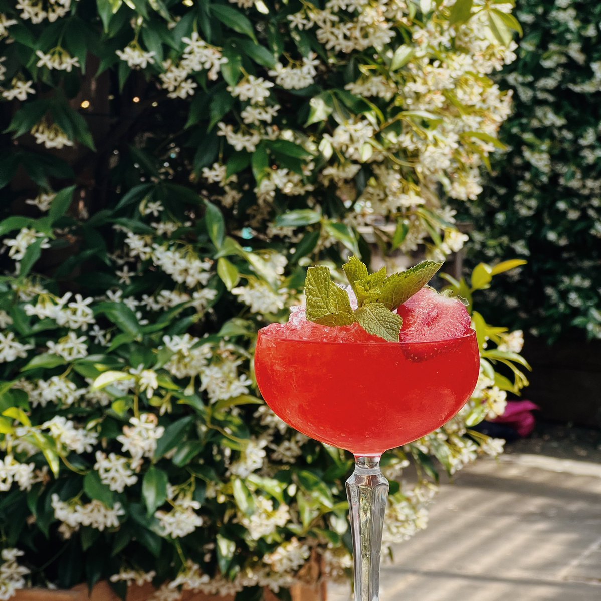 Strawberry Daiquiri weather 🍓 

<a href="/bristolsyrupco/">Bristol Syrup Co</a> <a href="/Monin_UK/">MONIN UK</a> #pampero