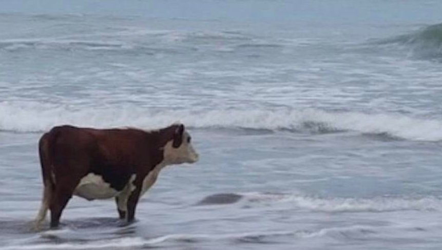 ZeroRobotics's tweet image. Attached is a picture of me very patiently waiting to see who&apos;s going to submit their practice code this Friday by 5PM local time. 

Is your team&apos;s code all in? Make sure you get it in before the deadline!