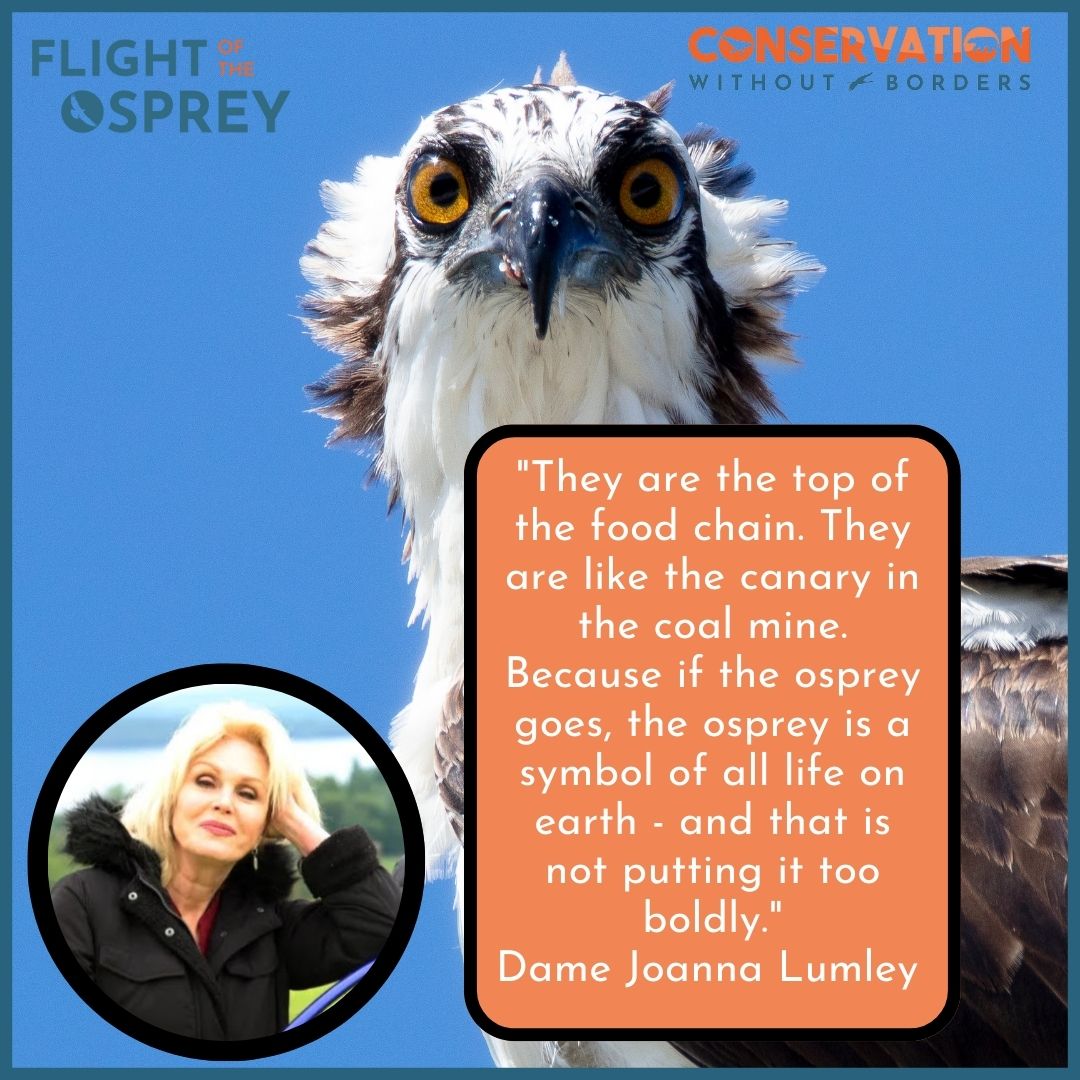 C_no_borders's tweet photo. Our supporter @joannaLumleyUK spoke on Good Morning Britain about our #FlightoftheOsprey expedition
You can watch it at: https://t.co/okfVOV15D1
#TogetherWeFly #ConservationWithoutBorders #FOTO
#joannalumley #GoodMorningBritain #CanaryInTheColaMine #climate #ecosystems @gmb https://t.co/XEAdweNGuw