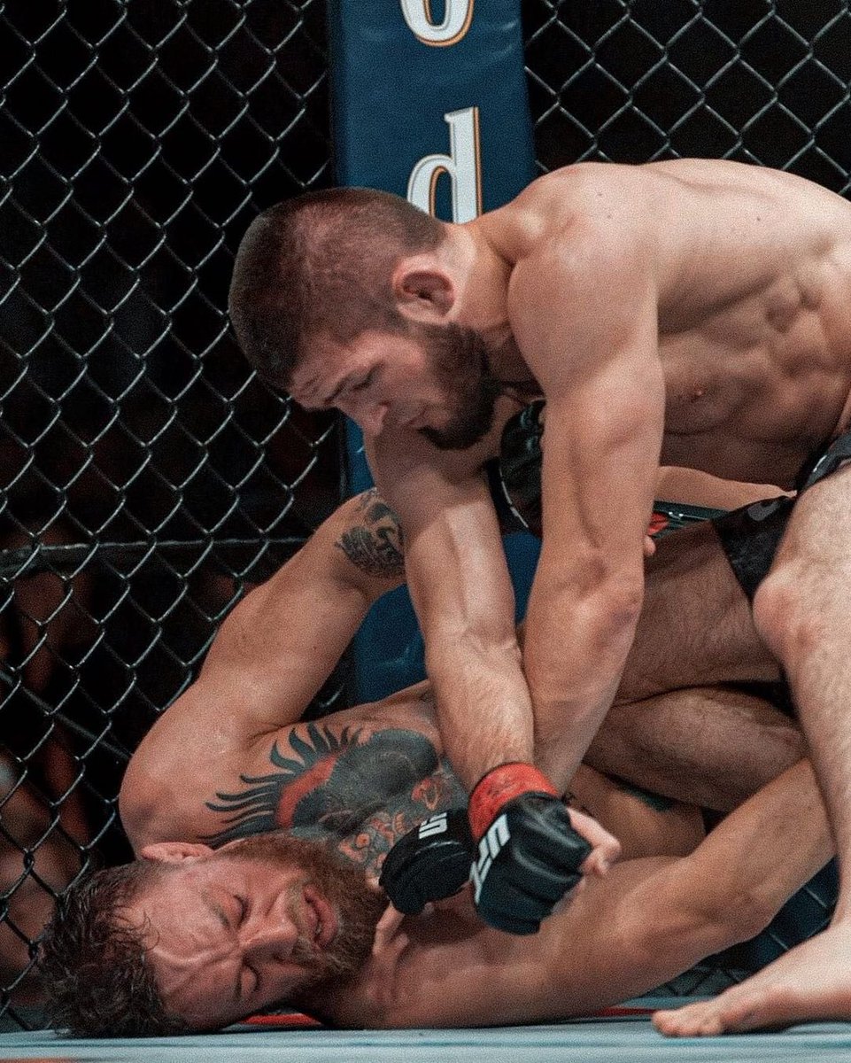 Funny MMA tweet media