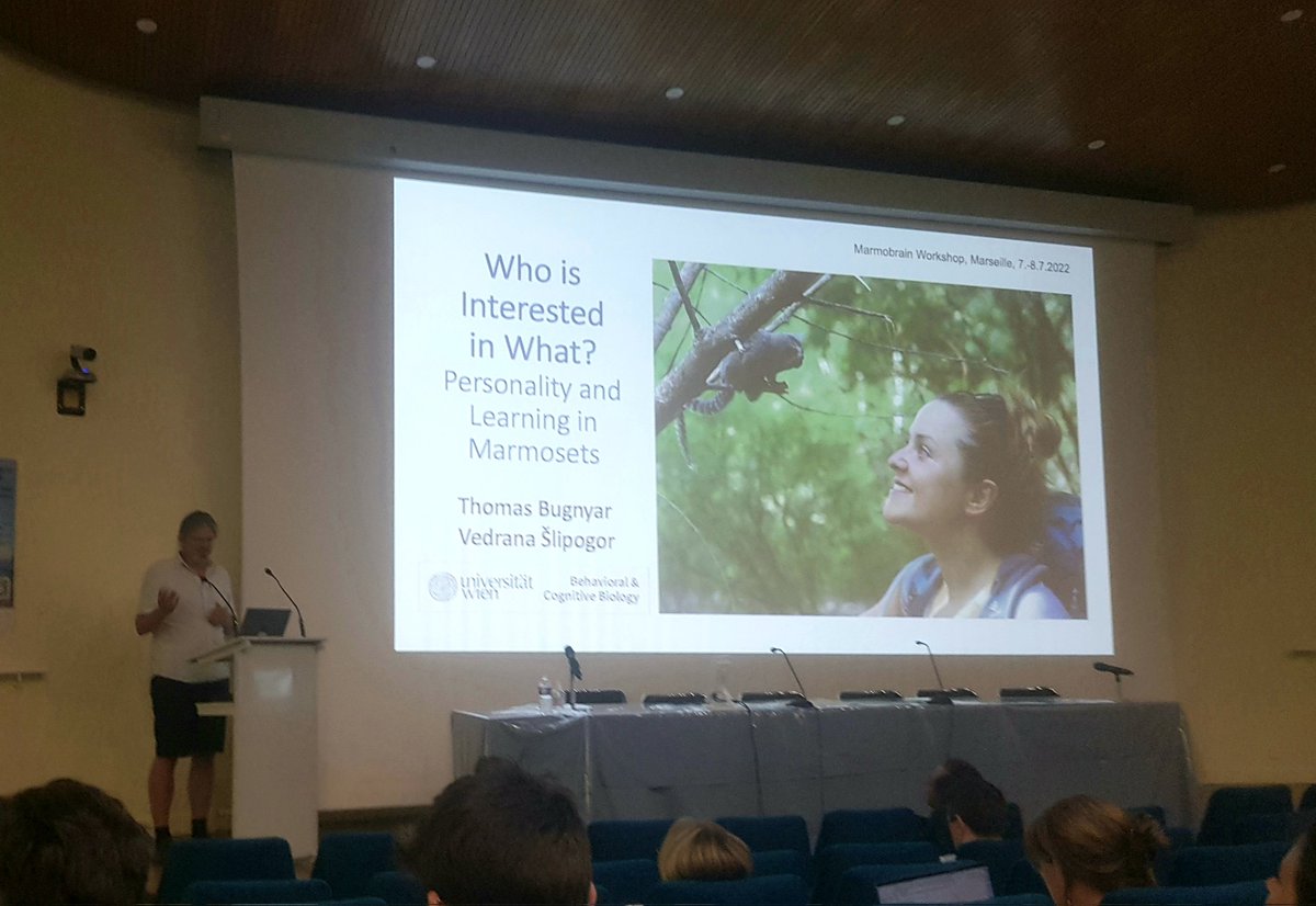 Vedrana Šlipogor tweet media