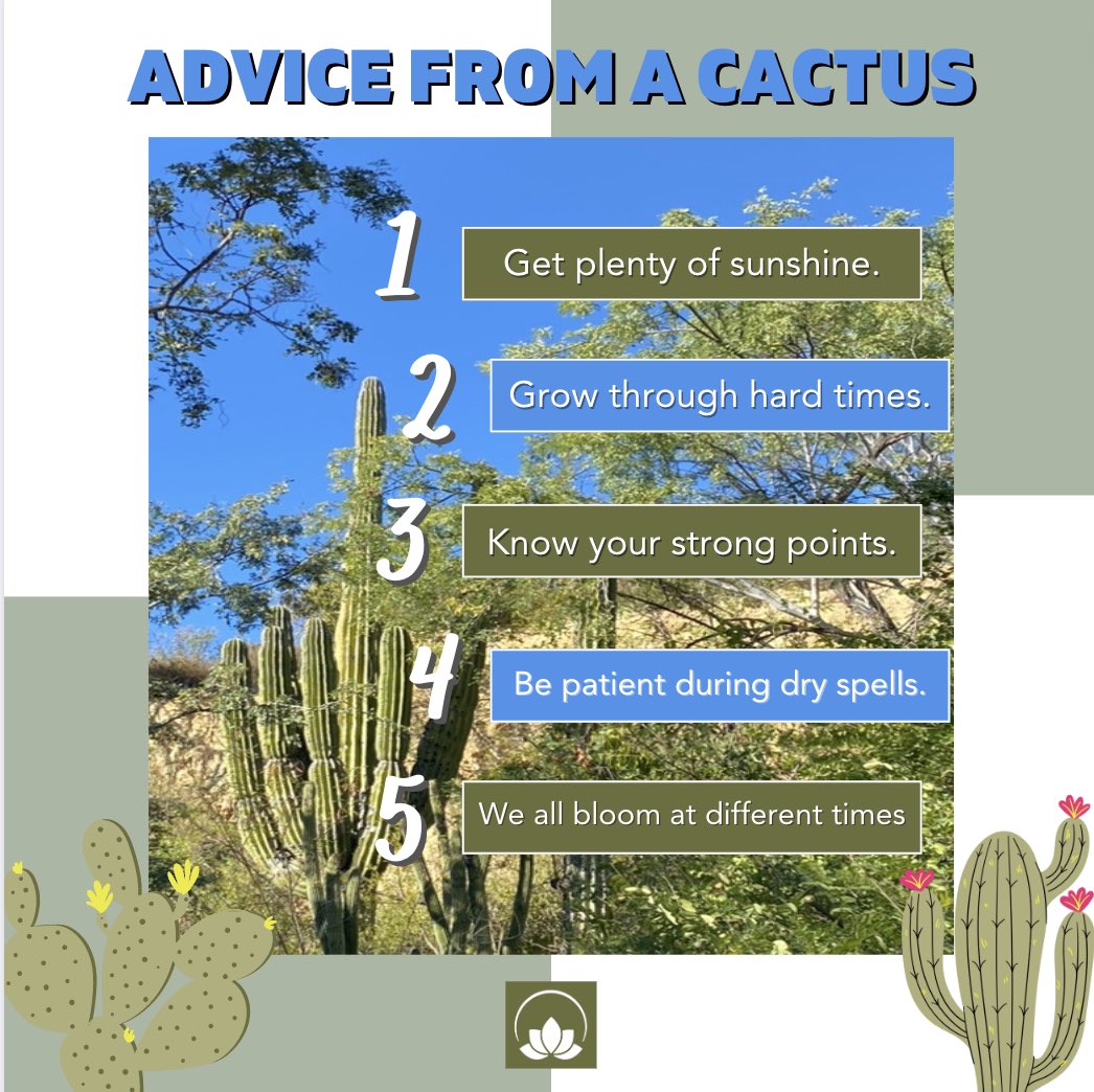 This 🌵 brings up some good POInts!
Let us help you become the best version of you.
Contact the POI Institute today at (833)POI-CABO
#poicabo #recovery #addiction #powerofi