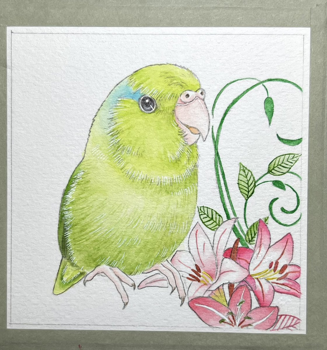 尻尾の長いインコ展