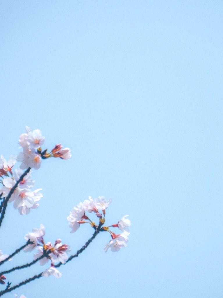 空リカ藍 Sorari Karan Twitter