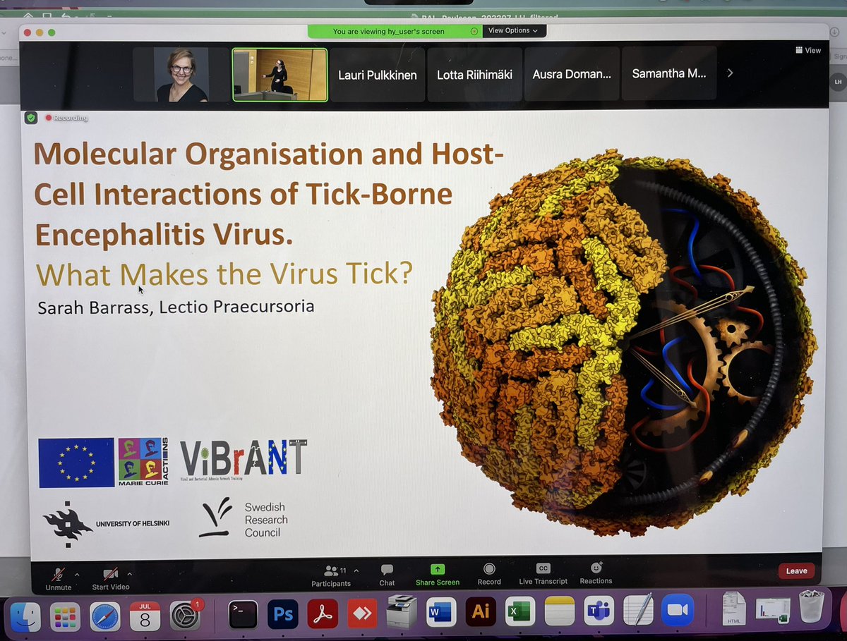 lotta happonen tweet media